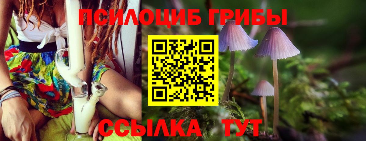 Хабаровск  Псилоцибиновые грибы Magic Shrooms  Вход с VPN 